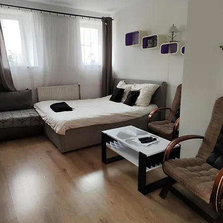 Apartment U Gosi
