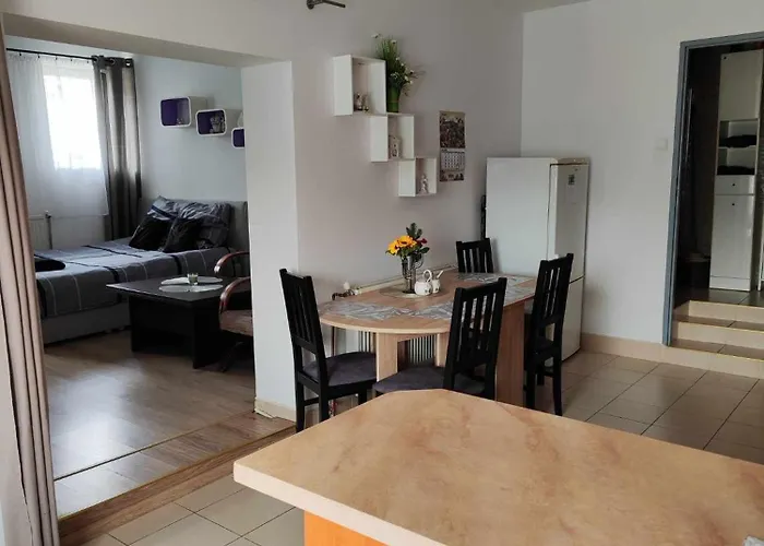 U Gosi Appartement *